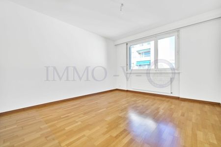 SPACIEUX AVEC BALCONS ET VUE LAC - EMPLACEMENT IDYLLIQUE - Photo 3