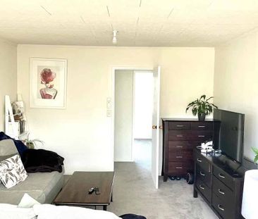 Beautifully renovated | Expansive outdoor living - Photo 2