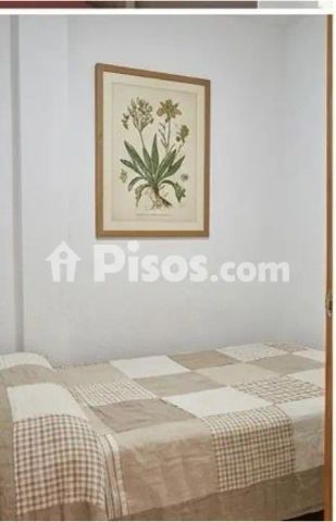 Estudio en alquiler en Calle Alhamar, 4 - Photo 5