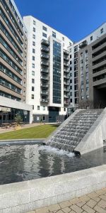 1 bedroom studio apartment to rent - Photo 4