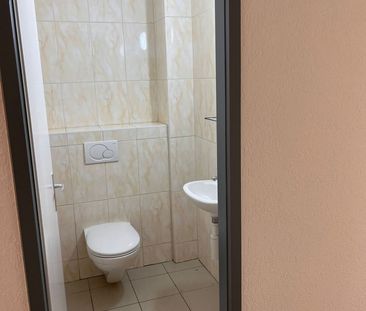 Spacious 4.5-room apartment for rent in a peaceful and green settin... - Foto 6