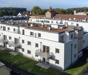 Schöne Gartenwohnung mit 3 Zimmern in Spillern - Photo 3