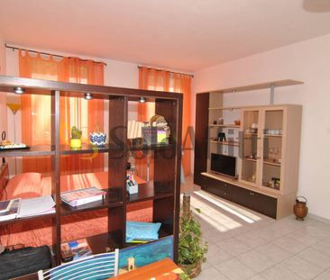 Monolocale via de Larderel 88, Cisternone, Livorno - Photo 2