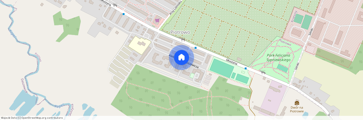 ul. Aleksandra Gabszewicza, Piotrowo, Nowe Miasto, Poznań, wielkopolskie