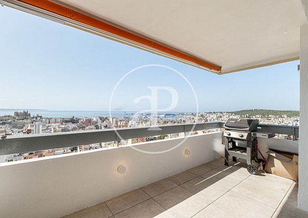 Flat for rent with views of the bay of Palma