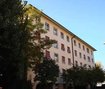 3 Zimmer, 60 m², 1. Stock - Foto 4