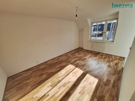 Supersüß und grün und sonnig - Foto 2