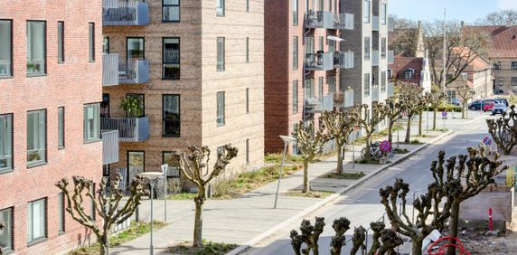 Moderne boliger i smukke omgivelser - Photo 2