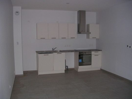 Location Appartement 2 pièces 54m² SARREGUEMINES 57200 - Photo 1