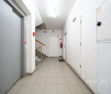 Pronájem zrekonstruovaného bytu 2+kk se zahrádkou a garážovým stáním - Photo 6
