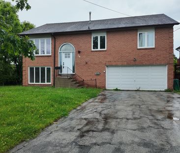 For Lease - 74 David Street Unit# Lower, Brampton, Ontario - Photo 2