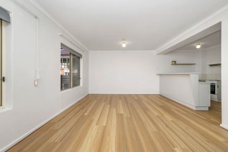 City-Fringe Living with Privacy & Convenience - Photo 2