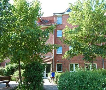 Bollweg 28a, 21614 Buxtehude - Foto 5