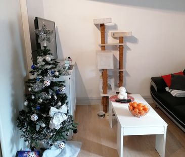 Location Appartement 1 pièce 31m² CHAZAY D AZERGUES 69380 - Photo 2