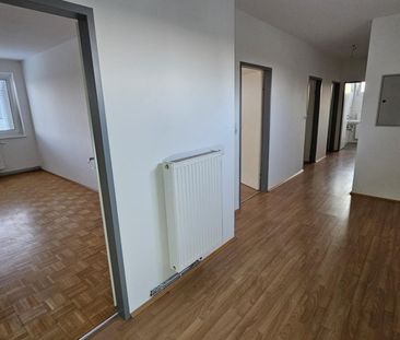 Großzügige 3 Zimmerwohnung – unbefristeter Mietvertrag - Photo 3