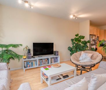 Rue St-Hubert, H2L 4A7, Montréal - Photo 4