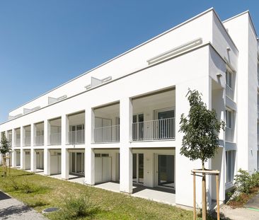 "Traumhafte Attikawohnung mit Mietzins-Aktion!" - Foto 5