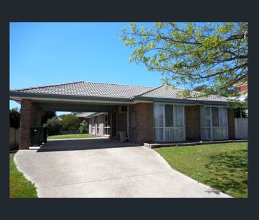 Spacious three bedroom home in Flora Hill - Photo 1