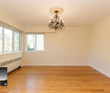 *Expansive 3BR/1BA; Bright, Stylish, and Steps to Everything!* - Photo 1