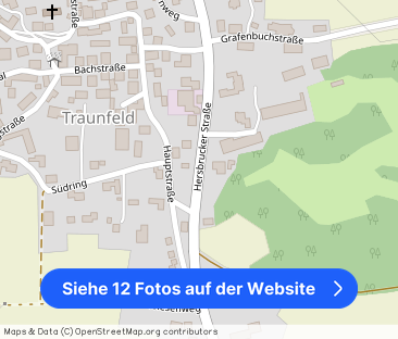 Perfekte 3-Zimmer-Erdgeschoss Wohnung mit großer Terrasse!Lauterhof... - Foto 1