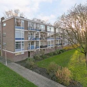 Schoonegge 0ong, 3085 Rotterdam, Nederland - Foto 1