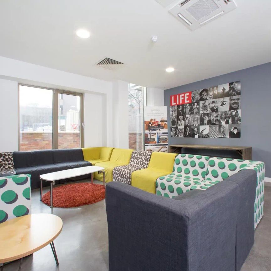 Premium Plus Studio - Photo 1