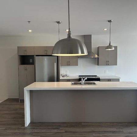 WOW**Baisse de prix **GRAND 4 1/2 ALOUER LIBRE IMMÉDIATEMENT INCLUS 5 ÉLECTRO - Photo 3