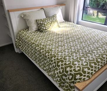 Charming 3BR Mairehau w/ Garden - Photo 4