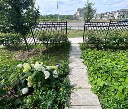 For Lease - 167 Harding Park Street, Newmarket, Ontario - Photo 4