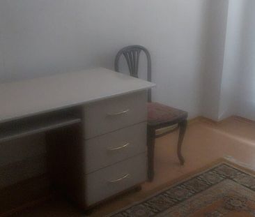 Calea Vacaresti - Photo 4