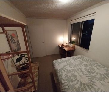 Freshwater - Photo 6