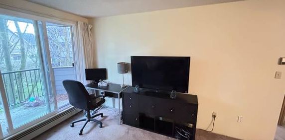 Furnished Large 1 bedroom Condo for rent! Utilities included! - Photo 2