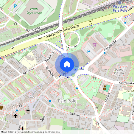 ul. Bolesława Krzywoustego, Psie Pole, Psie Pole, Wrocław, dolnośląskie