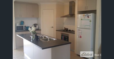 WHAT A BEAUTY! - Photo 4