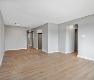 Newly renovated,bright upper unit .Close to schools,buses,shopping ... - Photo 1