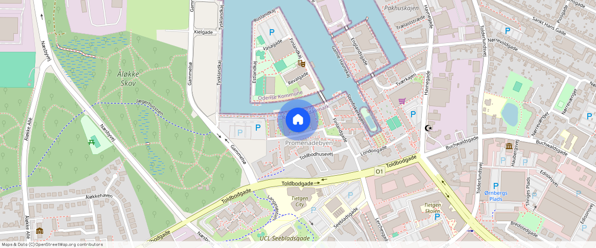 Promenadebyen **, 5000 Odense C