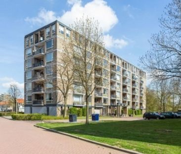 Neerstraat 0ong, 5215 AL 's-Hertogenbosch, Nederland - Foto 2