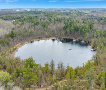 525 New Dundee Road #316 - Photo 1