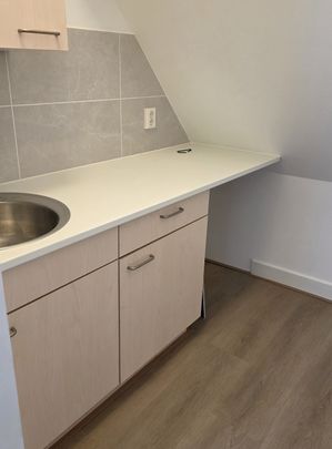 Per heden beschikbaar 2-kamer appartement op rustige locatie in Utrecht nabij de binnenstad - Foto 1