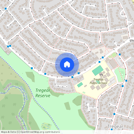 44 Nella Dan Avenue, NSW 2770, Tregear