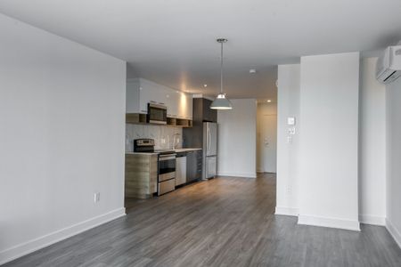 9675 Av. Papineau - Photo 5