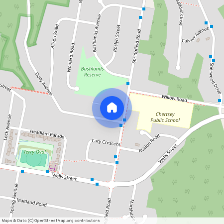 5 Dolly Avenue, Springfield NSW 2250