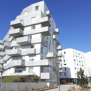 Location Appartement 1 pièce 30m² LILLE 59000 - Photo 2