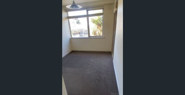 A modern apartment in the prime location! - Water Usage Included - Photo 1