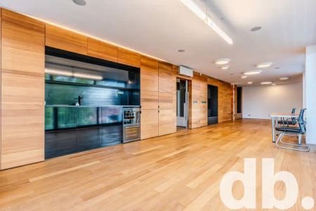 Pronájem bytu 1+kk 70 m - Fotografie 4