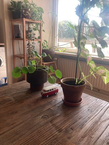 Appartement met 2 slaapkamers en terras - Foto 5