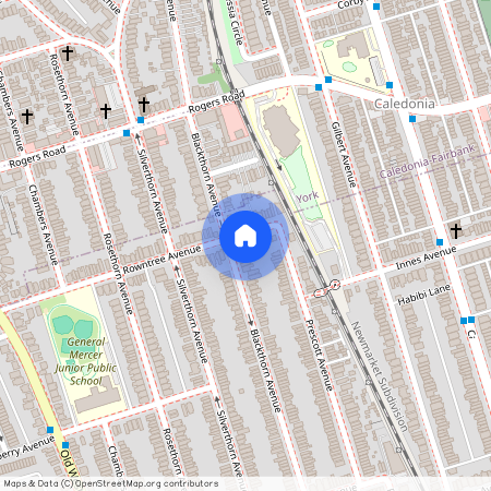 289 BLACKTHORN AVENUE, Toronto, Weston-Pellam Park