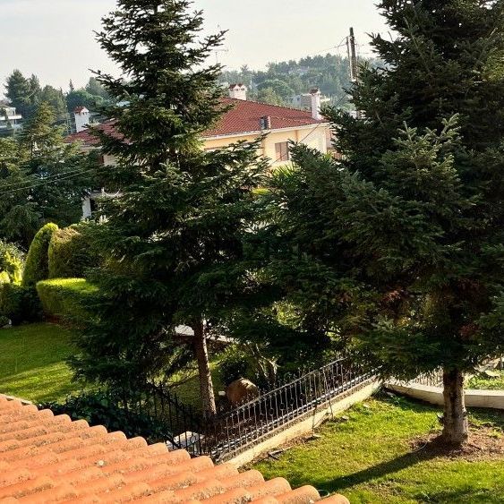 Μεζονέτα για ενοικίαση Συνοικισμός Νόμου 751 (Πανόραμα) - Photo 1