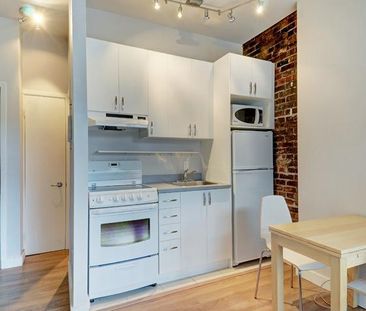 Loft entièrement meublé à louer Saint-Jean-Baptiste juillet 2026 - Photo 1