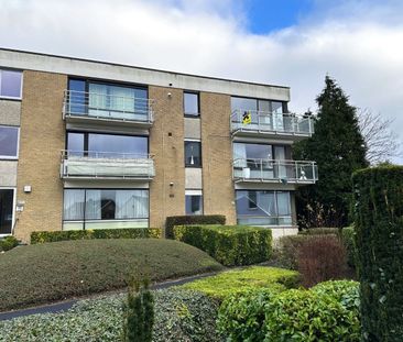 Lichtrijk appartement met drie slaapkamers - Photo 5